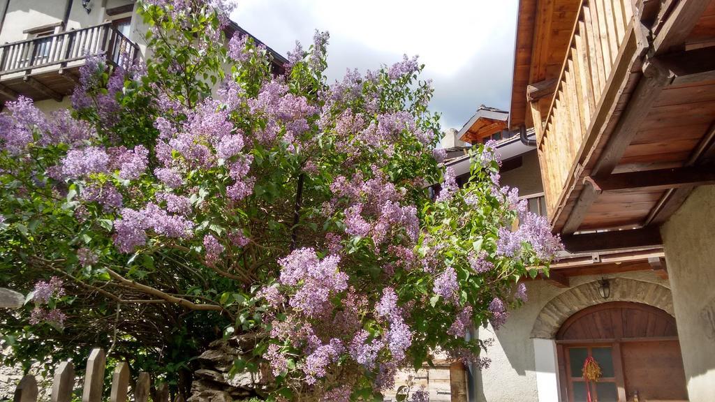 Casa Grande Pragelato Exterior photo